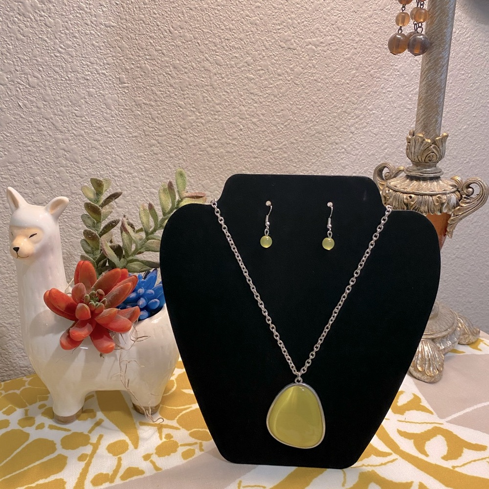 Paparazzi Necklace and Earrings